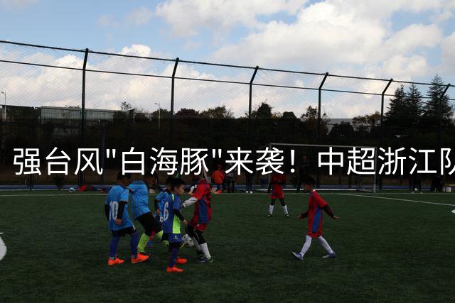 强台风"白海豚"来袭！中超浙江队主场比赛紧急延期